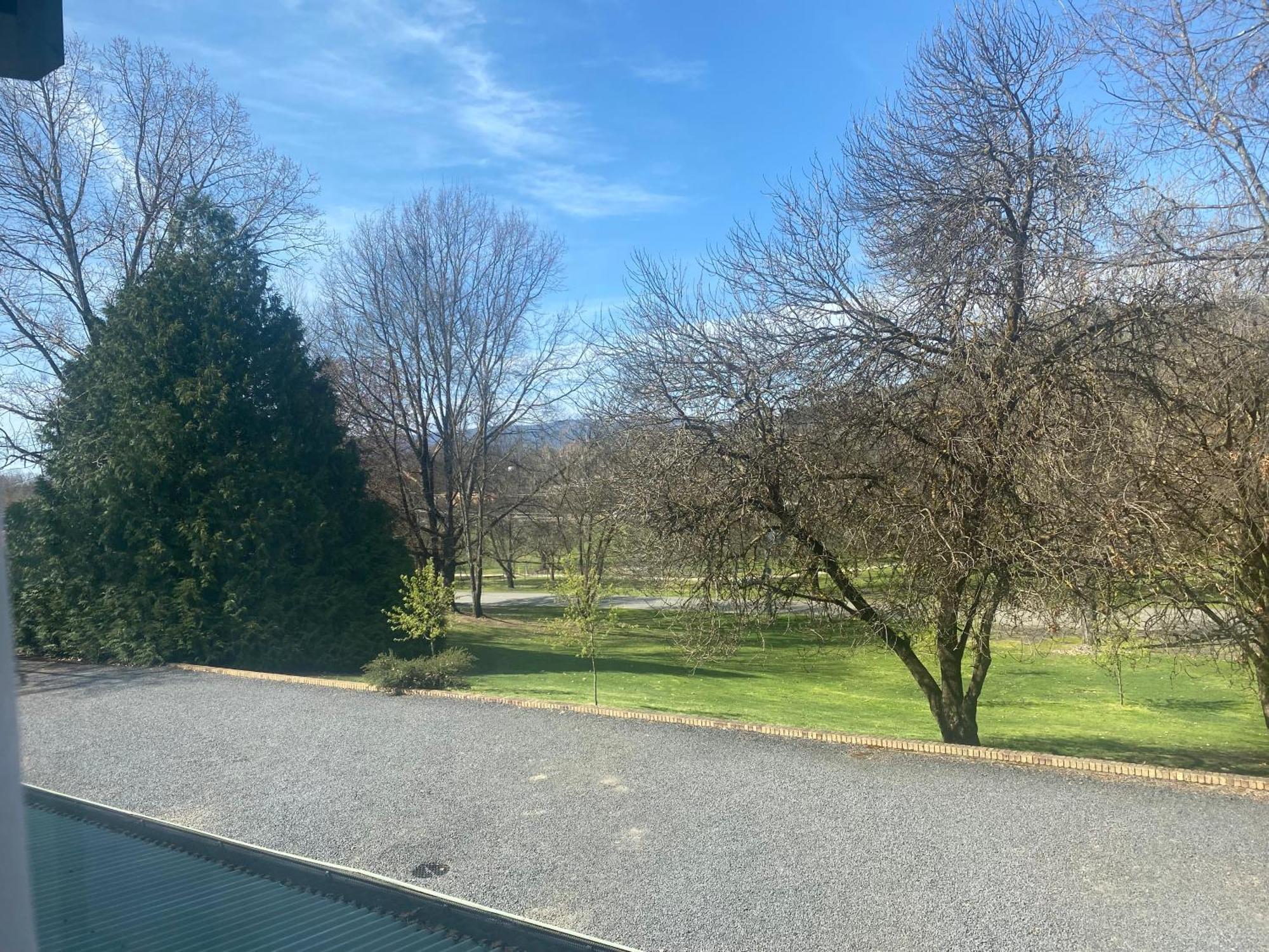 Tumbarumba Motel & Elms Restaurant Экстерьер фото